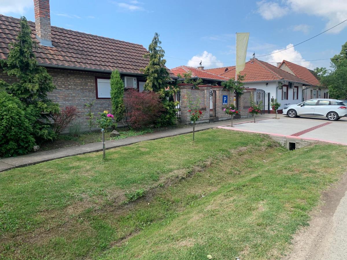 Vila Sunce Morovic Morović Exterior foto